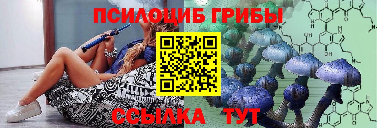 Псилоцибиновые грибы мицелий Артём