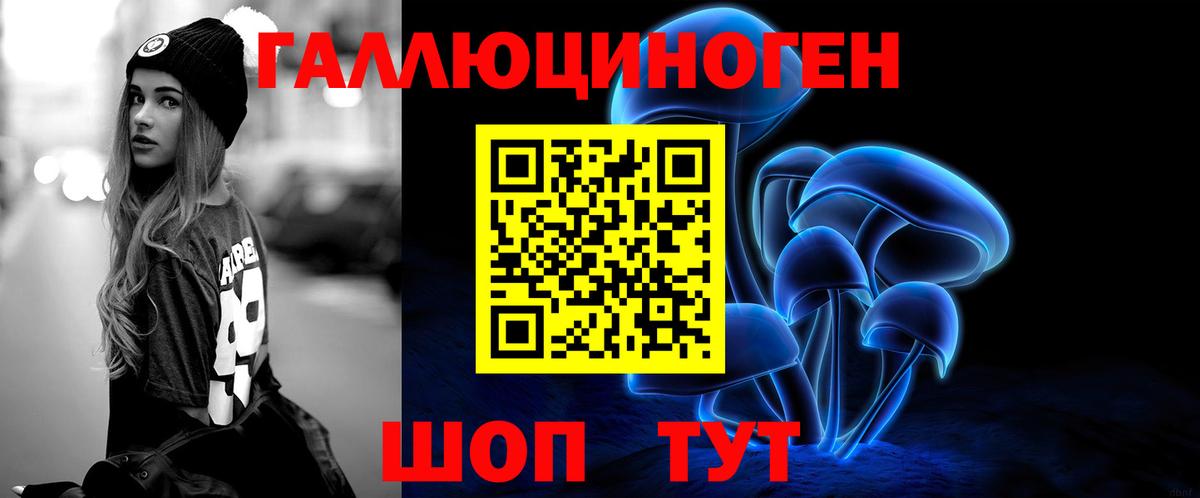 Псилоцибиновые грибы Psilocybe  Псилоцибиновые грибы прущие грибы  Артём  Вход с VPN 