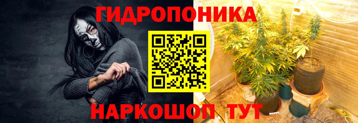 Каннабис AK-47  Вход с VPN  Каннабис Bruce Banner  Артём 